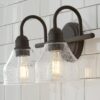 BS19278.2.BS19278BZ Seedy Gooseneck Vanity Light – 2 Light – view 3