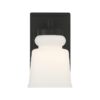 BS24036.2.BS24036BK Snowmelt Bath Sconce – view 3
