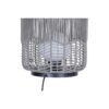 FL24024.2.FL24024BK Hansen Indoor/Outdoor Lamp – view 3