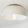 FM18013S.0.FM18013SCM Iconic Color Pop Dome Ceiling Light – Small