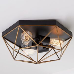 Prismatic Wire Cage Ceiling Light