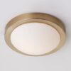 FM18086L.0.FM18086LAB Streamlined Ceiling Light – Large
