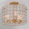 FM18103.0.FM18103GL Captiva Shaken Shell Semi-Flush Ceiling Light