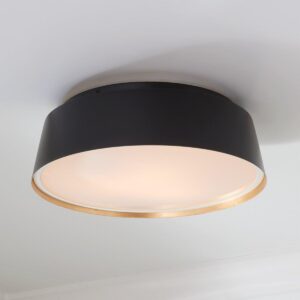 ED Ellen DeGeneres Asher 3 Light Flush Mount