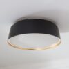 FM19019.1.FM19019BK ED Ellen DeGeneres Asher 3 Light Flush Mount – view 2