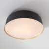 FM19019.2.FM19019BK ED Ellen DeGeneres Asher 3 Light Flush Mount – view 3