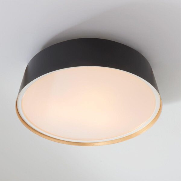 FM19019.2.FM19019BK ED Ellen DeGeneres Asher 3 Light Flush Mount – view 3