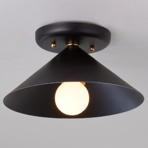 Young House Love Cone Pop Ceiling Light