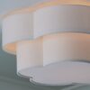 FM22039.2.FM22039AW Fleur Ceiling Light – view 3