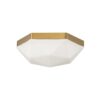 FM24114.1.FM24114BG Gem-Cut Ceiling Light – view 2