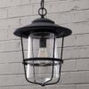 OL16135.1.OL16135BK Contemporary Seeded Glass Outdoor Pendant – view 2