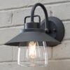 OL18188.0.OL18188BK Shaded Firefly Outdoor Sconce