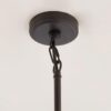 OL19006.2.OL19006BR Industrial Oasis Outdoor Pendant – view 3