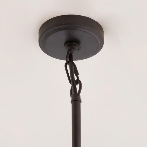 OL19006.2.OL19006BR Industrial Oasis Outdoor Pendant – view 3