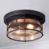Amell Outdoor Ceiling Light