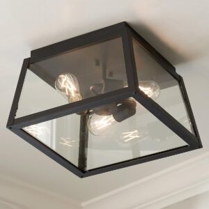 OL21021.0.OL21021BK Classic Ilona Outdoor Ceiling Light