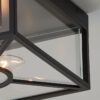 OL21067.2.OL21067BK Xana Outdoor Ceiling Light – view 3