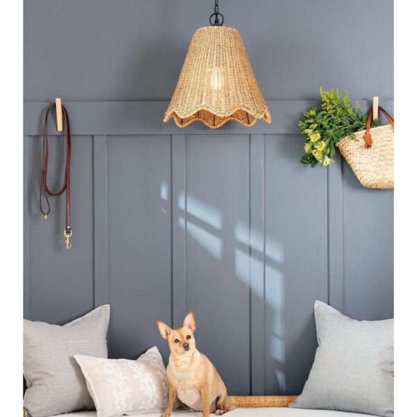 OL22083.2.OL22083NA Hopewell Woven Indoor/Outdoor Pendant – Small – view 3