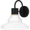 Anais LED Outdoor Sconce – Large