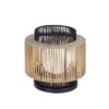 TL24141.1.TL24141BK Thicket Indoor/Outdoor Table Lamp – view 2