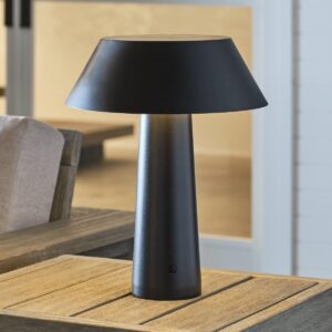 Glyphic Cordless LED Indoor/Outdoor Table Lamp