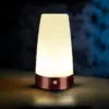Auraglow round motion-sensor night light – battery powered.