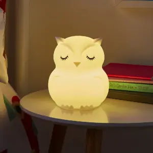 Glow Damini Multicolor Owl Night Light